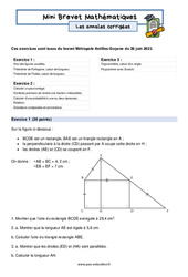 Mini Brevet de mathématiques  - Les annales corrigées 7 : 3eme Secondaire - PDF à imprimer