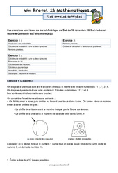 Mini Brevet de mathématiques  - Les annales corrigées 13 : 3eme Secondaire - PDF à imprimer