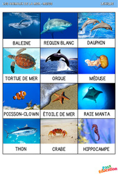 Les animaux de la mer - Lexique : 2eme, 3eme Maternelle - Cycle Fondamental - PDF à imprimer