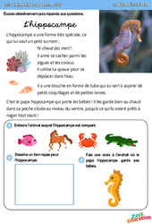 Hippocampe - Animaux de la mer - Savoir écouter en maternelle : 2eme, 3eme Maternelle - Cycle Fondamental - PDF à imprimer