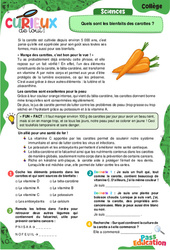 Quels sont les bienfaits des carottes ? - Curieux de tout : 1ere, 2eme, 3eme Secondaire - PDF à imprimer