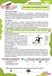 Que signifient ces expressions françaises ? (1) - Curieux de tout : 1ere, 2eme, 3eme Secondaire - PDF à imprimer