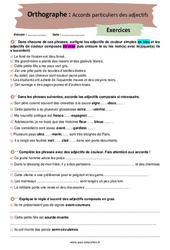 Accords particuliers des adjectifs - Exercices corrigés : 2eme Secondaire - PDF à imprimer