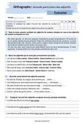 Accords particuliers des adjectifs - Examen Evaluation avec les corrigés : 2eme Secondaire - PDF à imprimer