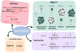 Homothétie (Introduction) - Carte mentale : 3eme Secondaire - PDF à imprimer