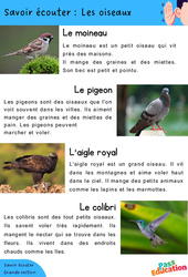 Les oiseaux - Découvrir l'écrit : 3eme Maternelle - Cycle Fondamental - PDF à imprimer