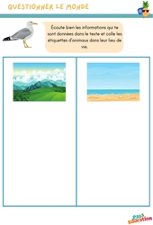 Les animaux - Questionner le monde en maternelle : 2eme Maternelle - Cycle Fondamental - PDF à imprimer