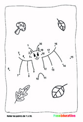 Automne - Points à relier, nombres jusqu'à 20 : 2eme, 3eme Maternelle - Cycle Fondamental - PDF à imprimer