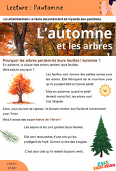 L'automne - Lecture : 1ere, 2eme Primaire - PDF à imprimer