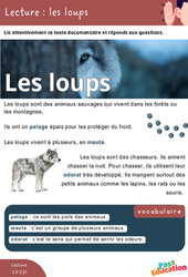 Les loups - Lecture : 1ere, 2eme Primaire - PDF à imprimer