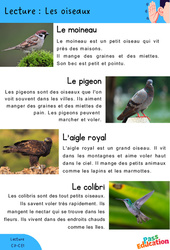 Les oiseaux - Lecture : 1ere, 2eme Primaire - PDF à imprimer