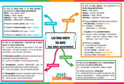 Les liens entre les mots- Fiches (synonymes, antonymes, paronymes, homonymes) - Carte mentale : 2eme Secondaire - PDF à imprimer