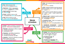 Nature et fonctions - Carte mentale : 2eme Secondaire - PDF à imprimer