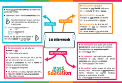 Les déterminants - Carte mentale : 2eme Secondaire - PDF à imprimer