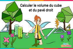 Calculer le volume du cube et du pavé droit - Vidéo La Fée des Maths : 4eme, 5eme, 6eme Primaire - PDF à imprimer