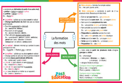 La formation des mots - Carte mentale : 2eme Secondaire - PDF à imprimer