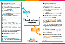 Accords particuliers des adjectifs - Carte mentale : 2eme Secondaire - PDF à imprimer