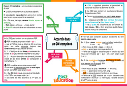 Accords dans un groupe nominal complexe - Carte mentale : 2eme Secondaire - PDF à imprimer