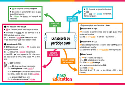 Les accords du participe passé - Carte mentale : 2eme Secondaire - PDF à imprimer