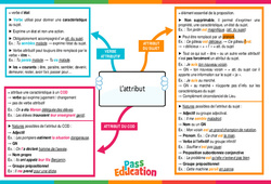 L’attribut - Carte mentale : 2eme Secondaire - PDF à imprimer