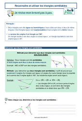 Reconnaître et utiliser les triangles semblables -  avec Mon Pass Maths : 3eme Secondaire - PDF à imprimer