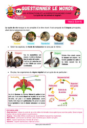 Le cycle de vie animal et végétal - Cours, Leçon - Apis & ses amis : 3eme Primaire - PDF à imprimer