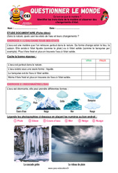 Différents états de la matière dans la nature - Exercices - Apis & ses amis : 2eme Primaire - PDF à imprimer