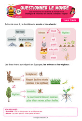 Le vivant, l’animal et le végétal - Cours, Leçon - Apis & ses amis : 1ere Primaire - PDF à imprimer