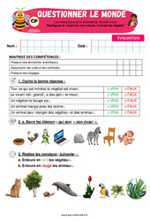 Le vivant, l’animal et le végétal - Examen Evaluation - Apis & ses amis : 1ere Primaire - PDF à imprimer