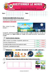 Comprendre les cycles du temps et situer des événements - Exercices - Apis & ses amis : 1ere Primaire - PDF à imprimer