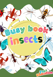 Insects - Fichier d'activités - Anglais : 3eme Primaire - PDF à imprimer