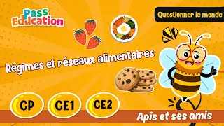 Vidéo Régimes et réseaux alimentaires - Vidéo pédagogique - Apis & ses amis : 1ere Primaire