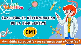 Évolution et détermination de la biodiversité - Vidéo pédagogique - Edith Eprouvette : 4eme Primaire