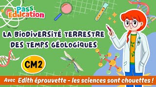 Vidéo La biodiversité terrestre des temps géologiques - Vidéo pédagogique - Edith Eprouvette : 5eme Primaire