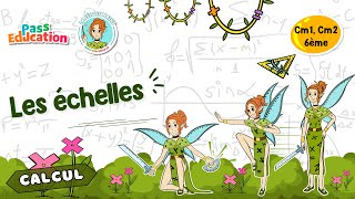 Les échelles - Vidéo pédagogique - La Fée des Maths : 4eme, 5eme, 6eme Primaire