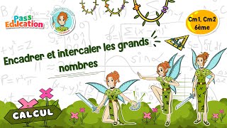 Encadrer et intercaler les grands nombres - Vidéo pédagogique - La Fée des Maths : 4eme, 5eme Primaire