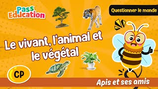 Le vivant, l’animal et le végétal - Vidéo pédagogique - Apis & ses amis : 1ere Primaire