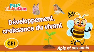 Développement, croissance du vivant - Vidéo pédagogique - Apis & ses amis : 2eme Primaire
