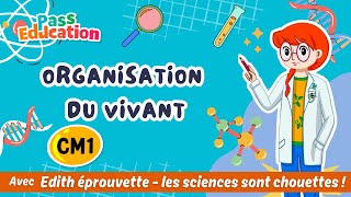 Organisation des êtres vivants - Vidéo pédagogique - Edith Eprouvette : 4eme Primaire