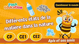 Différents états de la matière dans la nature - Vidéo pédagogique - Apis & ses amis : 1ere Primaire