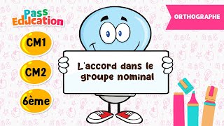 L'accord dans le groupe nominal - Vidéo pédagogique : 4eme, 5eme, 6eme Primaire