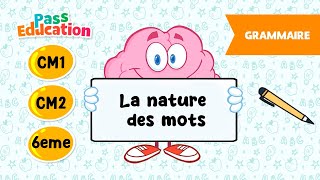 Vidéo La nature des mots - Vidéo pédagogique : 4eme, 5eme, 6eme Primaire