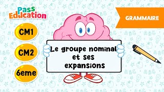 Le groupe nominal et ses expansions - Vidéo pédagogique -  : 4eme, 5eme, 6eme Primaire