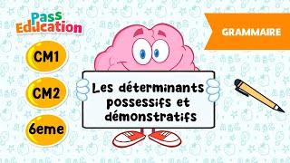Les déterminants possessifs et démonstratifs - Vidéo pédagogique : 4eme, 5eme, 6eme Primaire