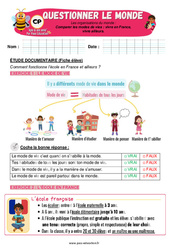 Comparer les modes de vies - Fiches vivre en France, vivre ailleurs - Exercices - Apis & ses amis : 1ere Primaire - PDF à imprimer