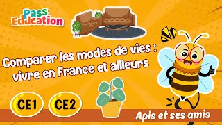 Comparer les modes de vies - Fiches vivre en France, vivre ailleurs - Vidéo pédagogique - Apis & ses amis : 3eme Primaire