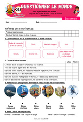 Comparer les modes de vies - Fiches vivre en France, vivre ailleurs - Examen Evaluation - Apis & ses amis : 3eme Primaire - PDF à imprimer