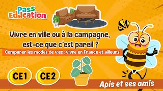 Vivre en ville ou à la campagne, est - ce que c’est pareil ? - Vidéo pédagogique - Apis & ses amis : 2eme, 3eme Primaire