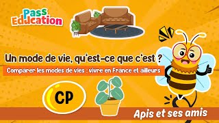 Un mode de vie, qu’est - ce que c’est ? - Vidéo pédagogique - Apis & ses amis : 1ere Primaire