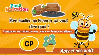 Être écolier en France, ça veut dire quoi ? - Vidéo pédagogique - Apis & ses amis : 1ere Primaire